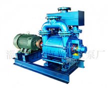 2BEA-202水環式真空泵